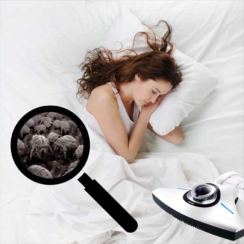 allergie, huisstofmijt, bedhygiëne, slaapklimaat, kalkman, raycop, bodegraven, beddenspeciaalzaak, beddenspecialist,